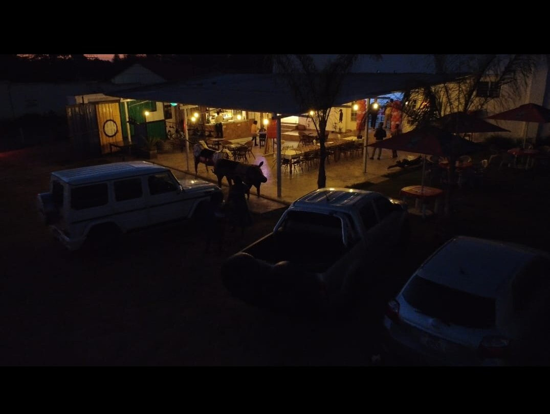 The Bee's Knees Bar & Grill