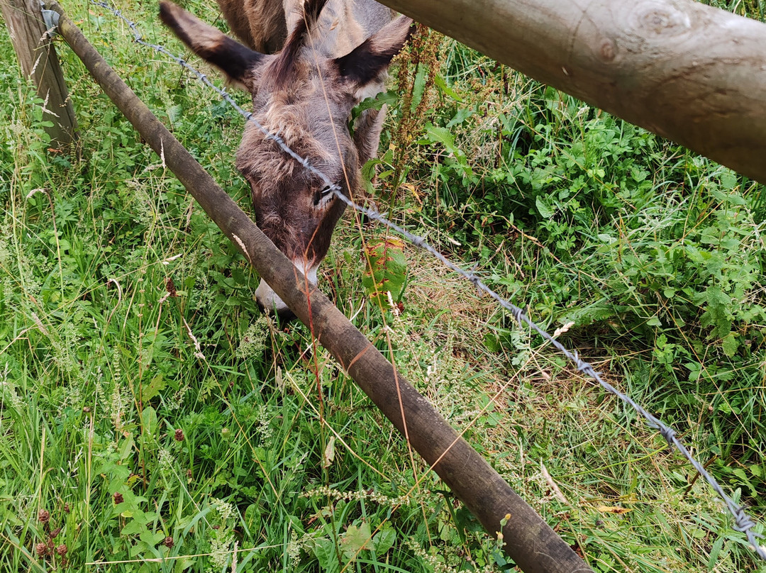 Balneario Elgorriaga主图