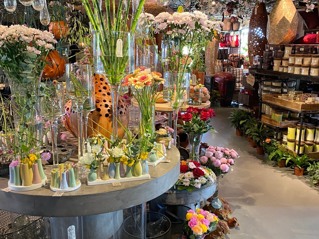 Etcetera - Botanical Excesses-Silvalen必去景点