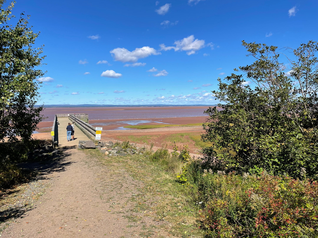 ShoreGirl Adventures-Maitland必去景点