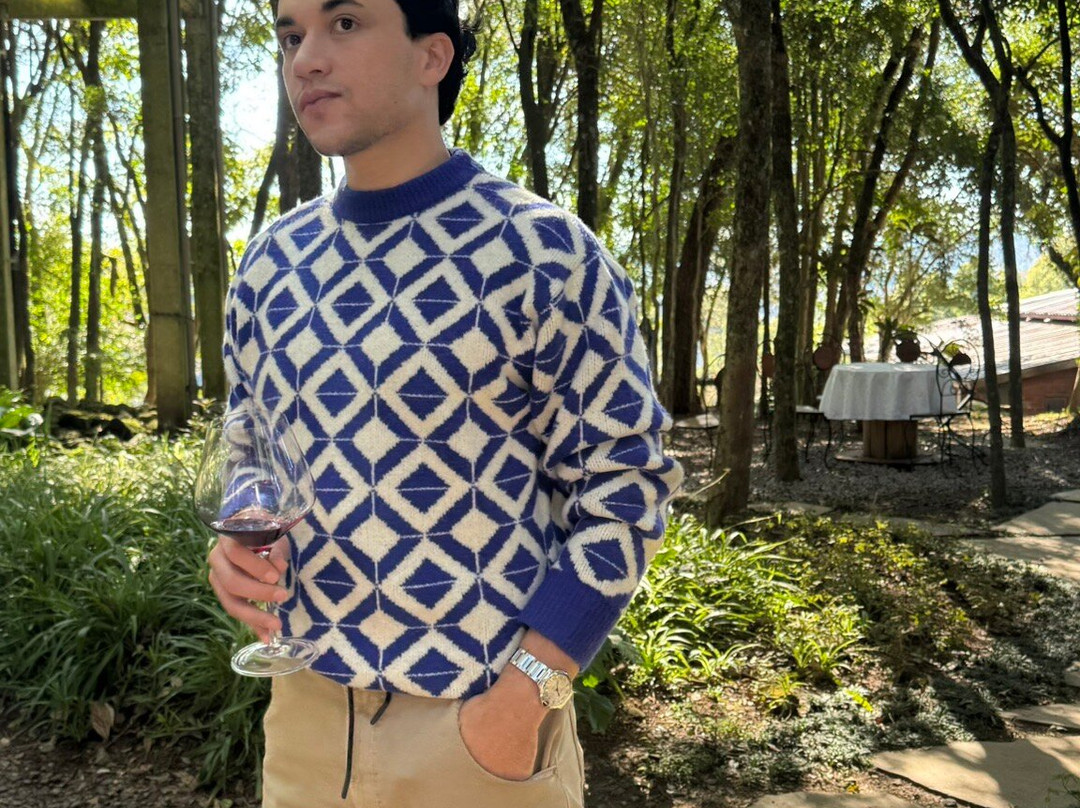 Lidio Carraro Vinícola Boutique-本图贡萨尔维斯必去景点