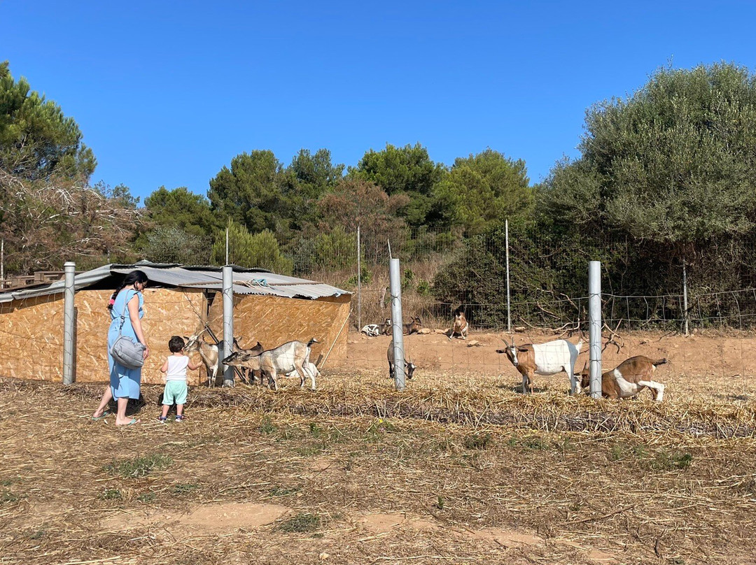 Agriturismo Sannoranna主图