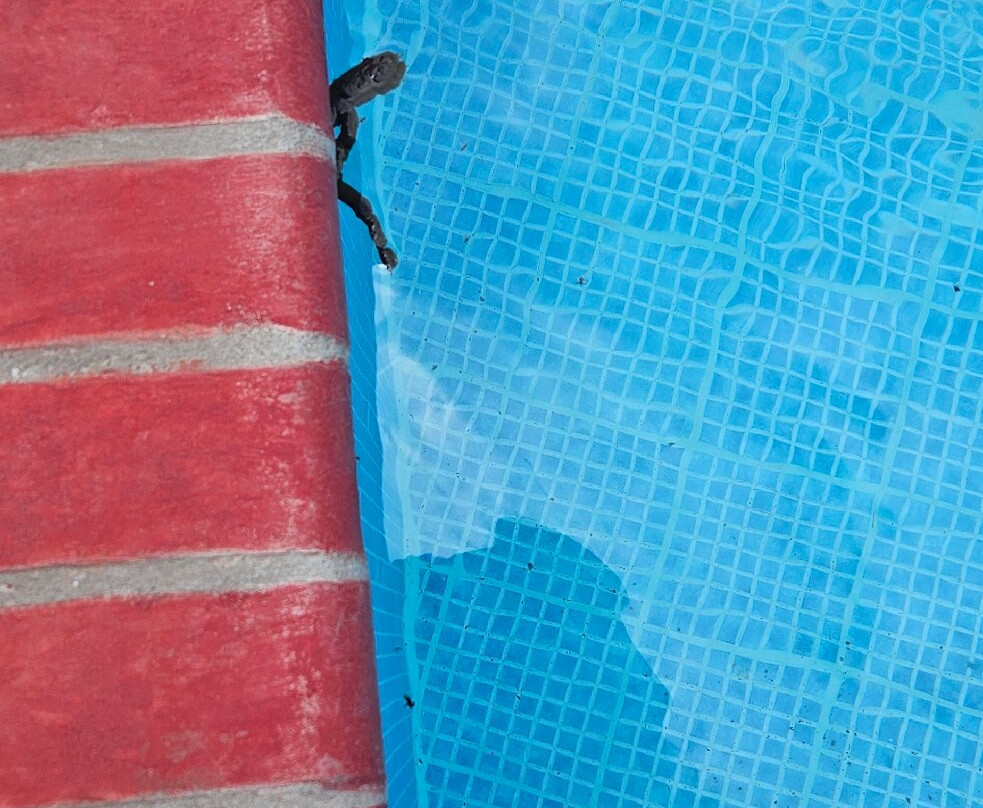 Bay View Hotel主图