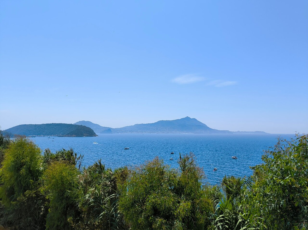 Hotel Procida Solcalante主图