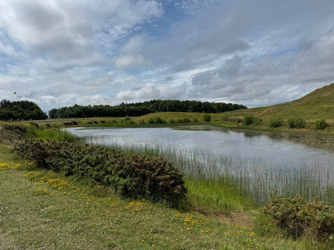 Northumberlandia-Cramlington必去景点