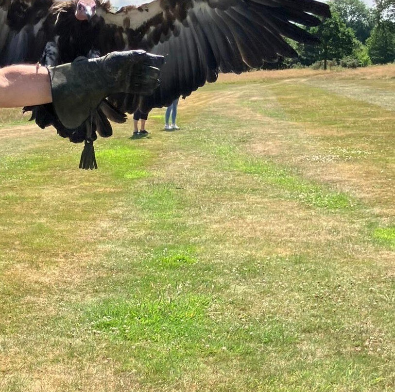 The Hawking Centre-Boughton Lees必去景点