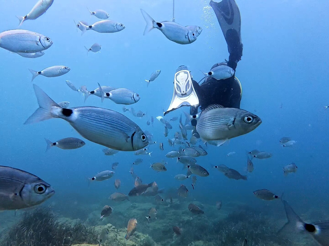 Side Azura Dive Center-马纳夫加特必去景点