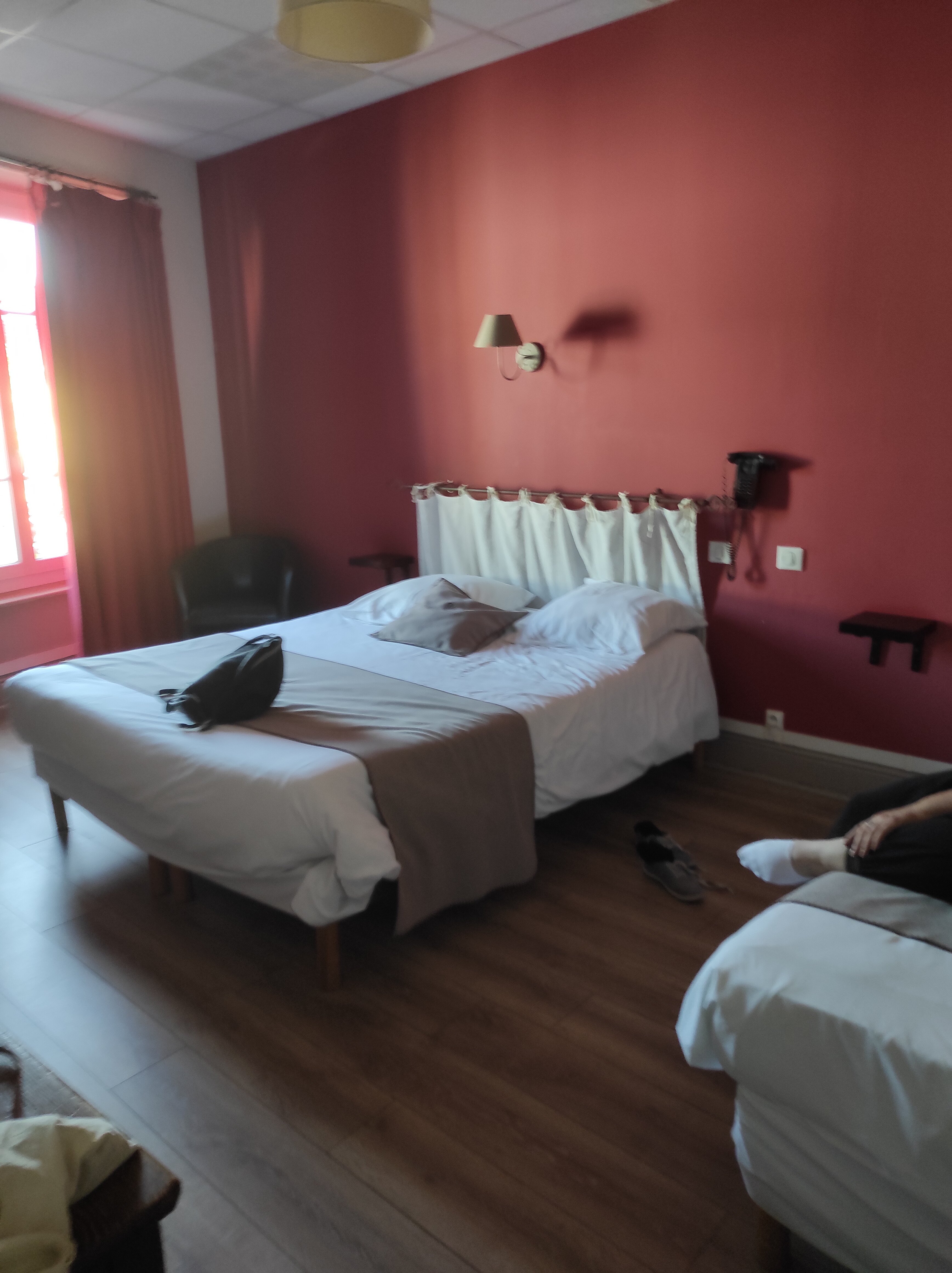 Hotel du Midi-官方