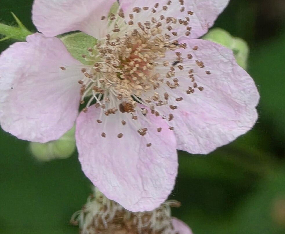 尼斯阔利国家野生动物保护区-奥林匹亚必去景点