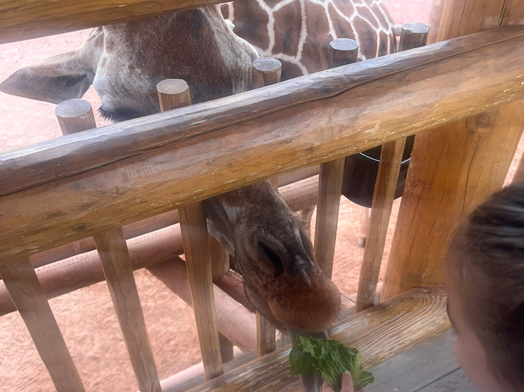 Lincoln Children's Zoo-林肯必去景点