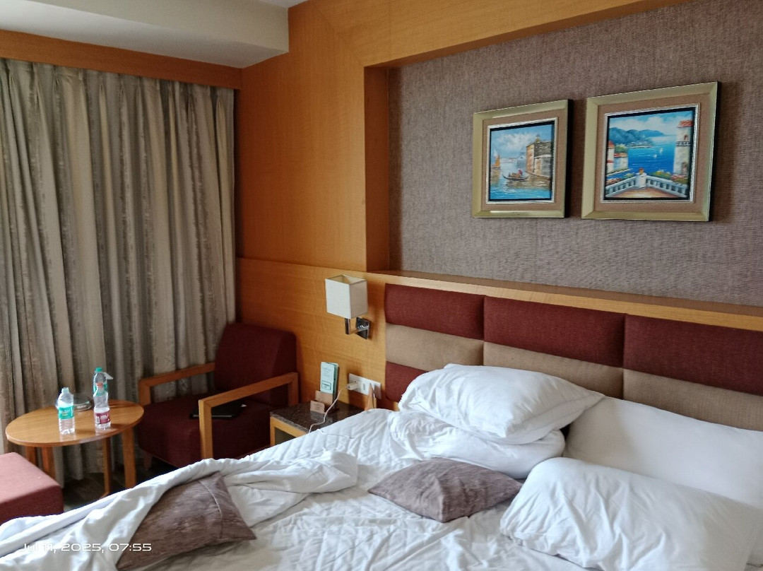 The Fern Residency, Somnath