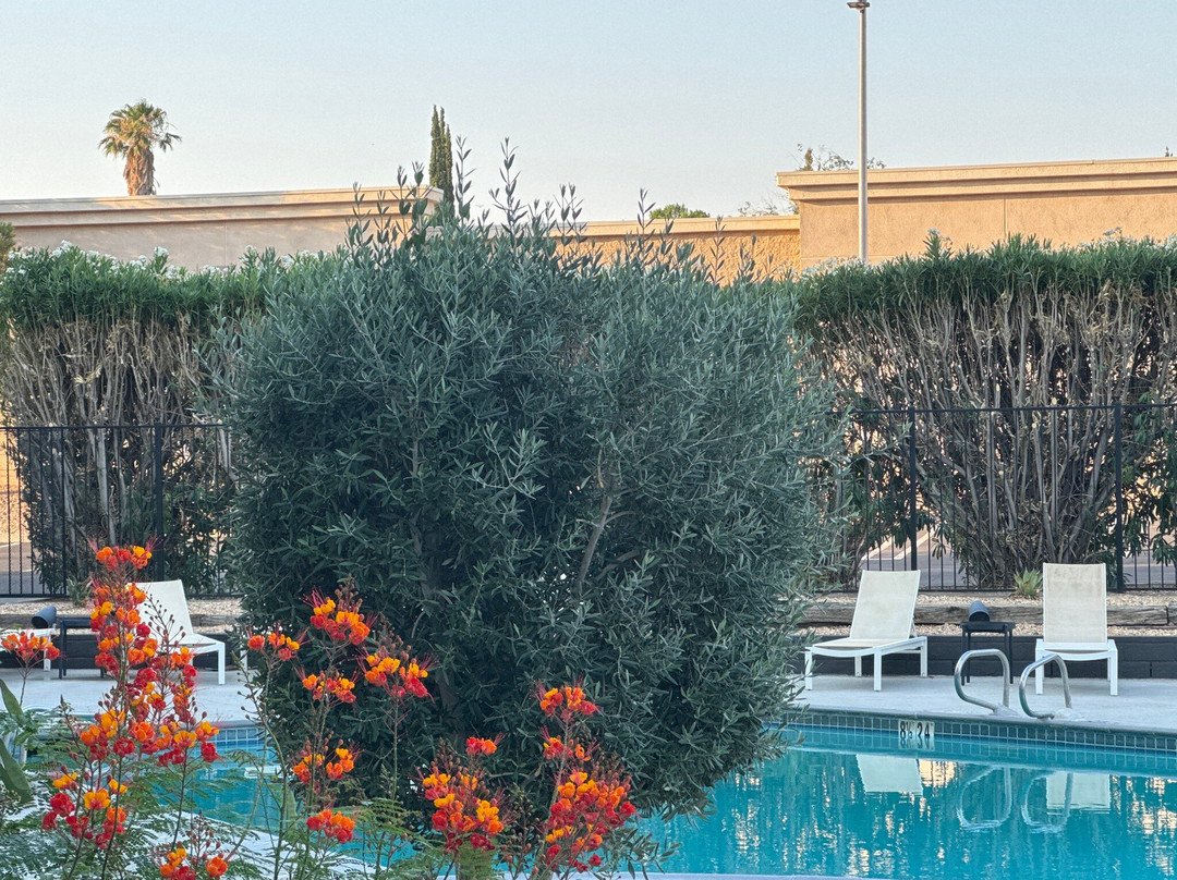 瑞玛达酒店主图