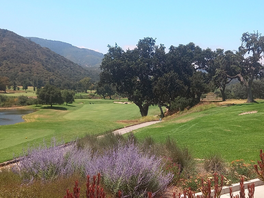 Zaidee's Bar And Grill