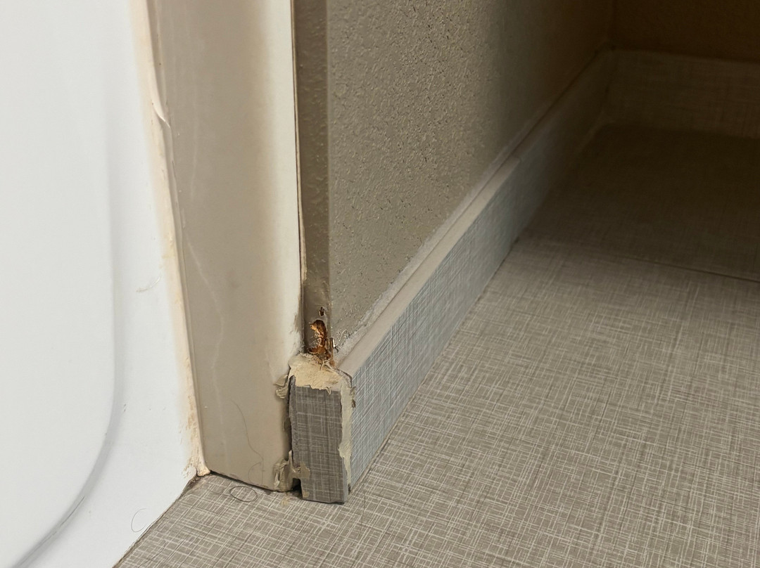 Staybridge Suites Salt Lake-West Valley City by IHG主图