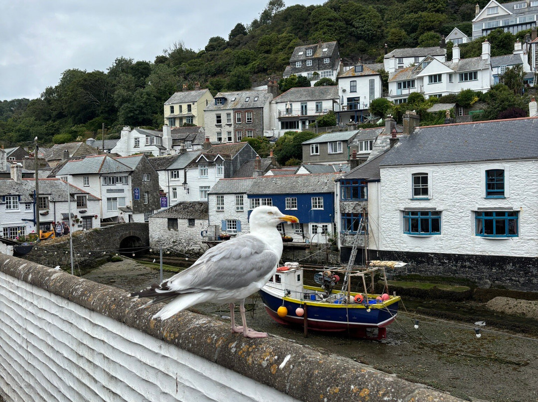 Polperro Harbour and Headlands Walk-Polperro必去景点