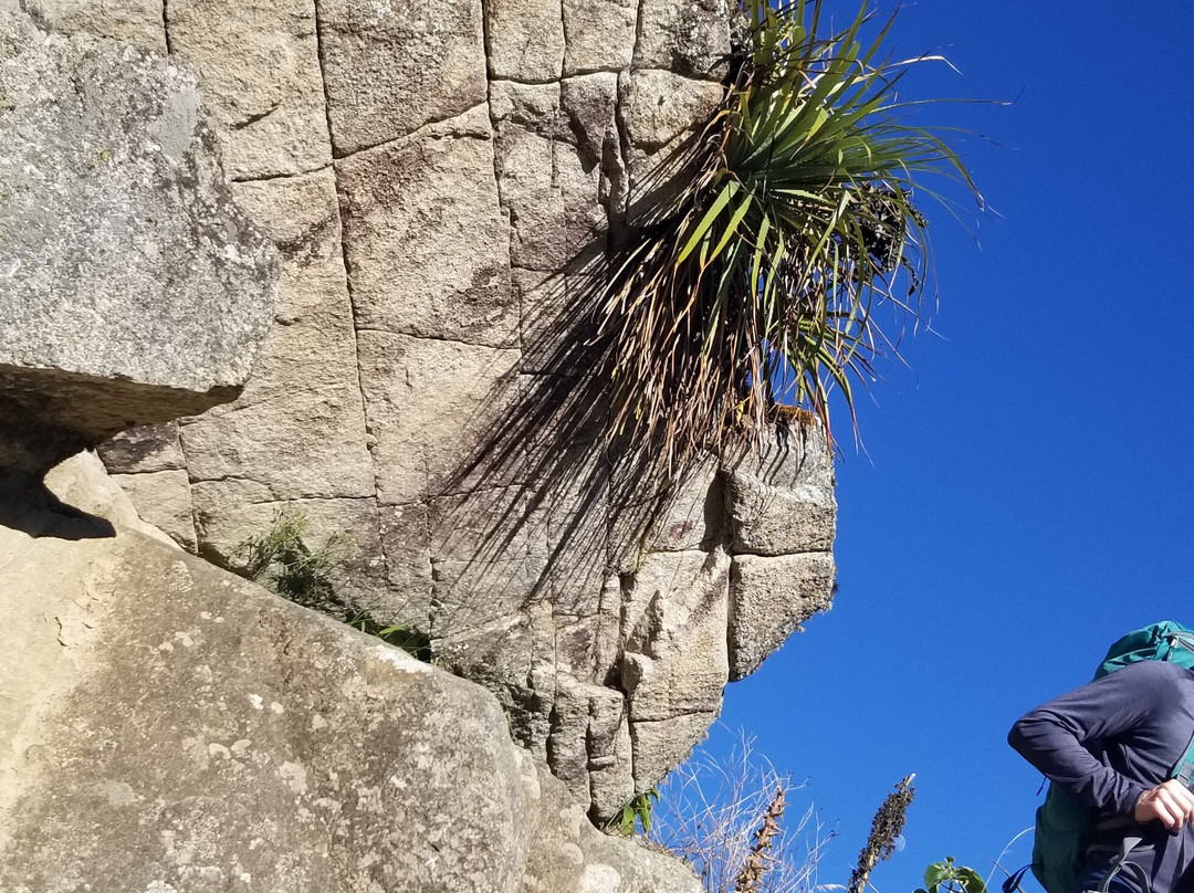 Perú Global Expeditions-库斯科必去景点