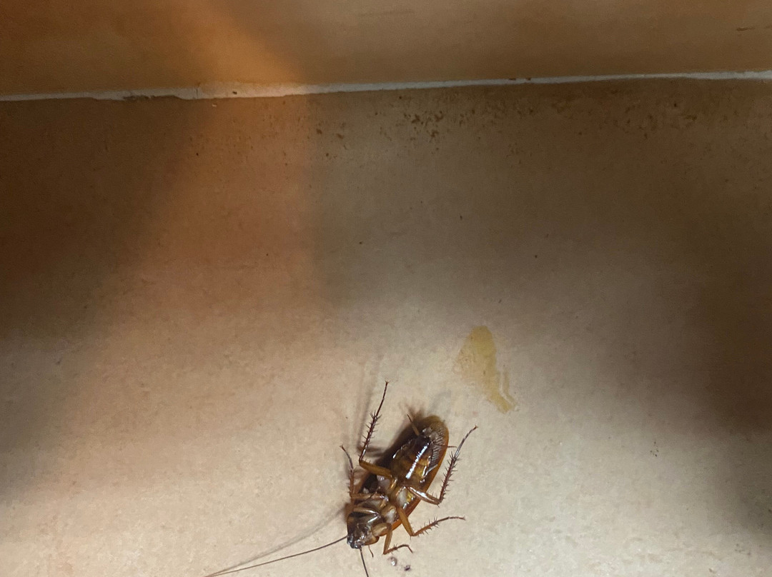 路图雅瑞酒店 - 全包式主图