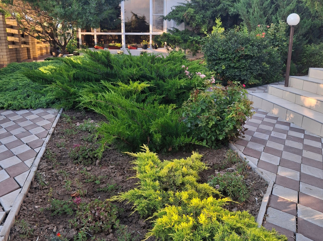 Guest House Fortuna主图