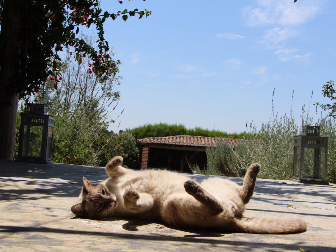 Monte da Moirana主图