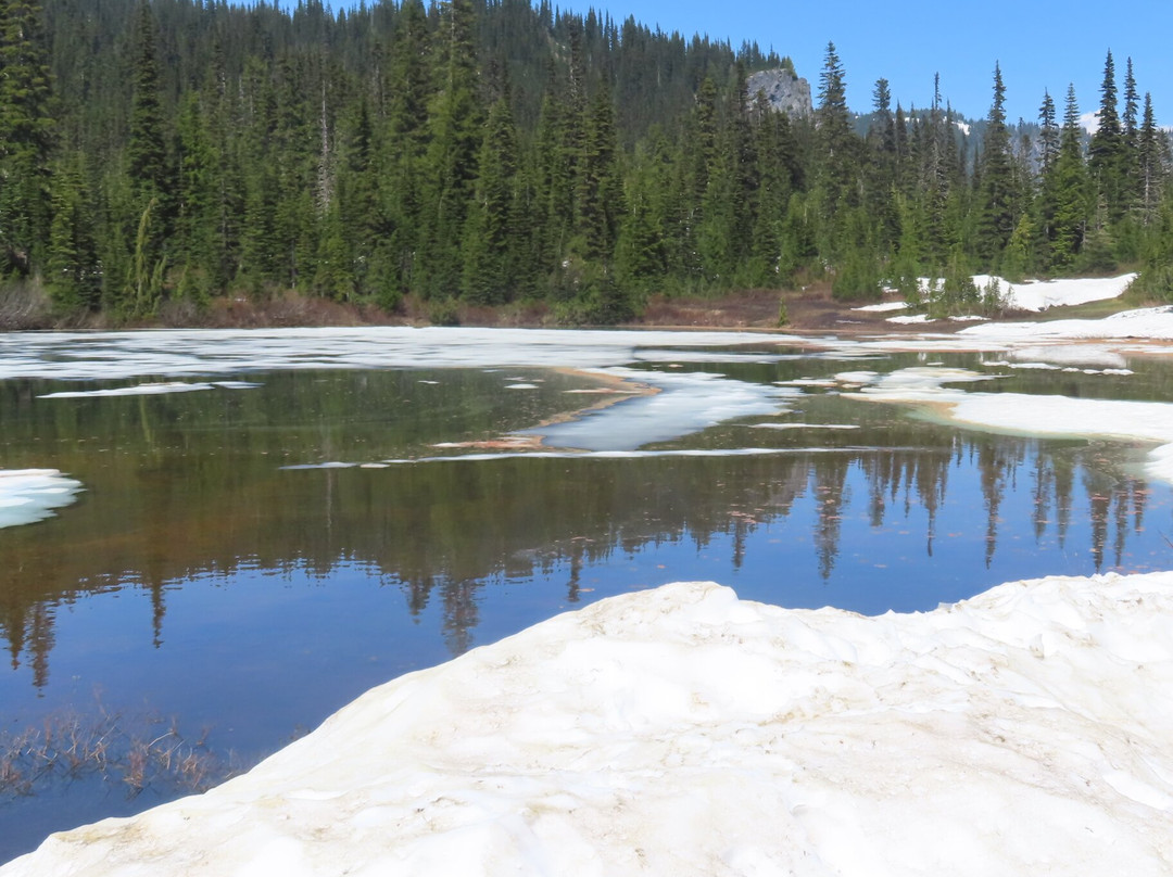 Reflection Lakes-雷尼尔山国家公园必去景点