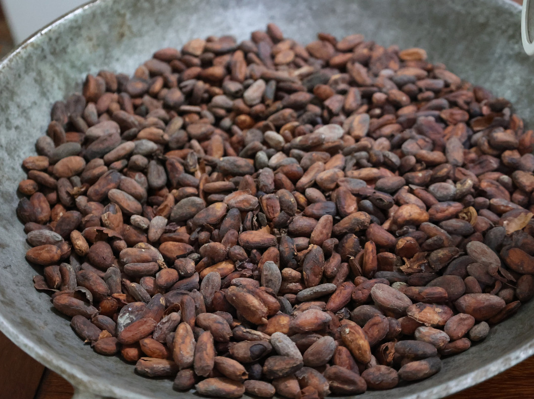 Vila Rosa-Itacare必去景点