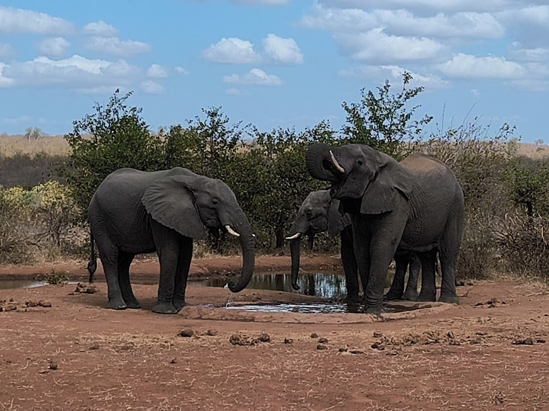 Ngalali Retreat主图