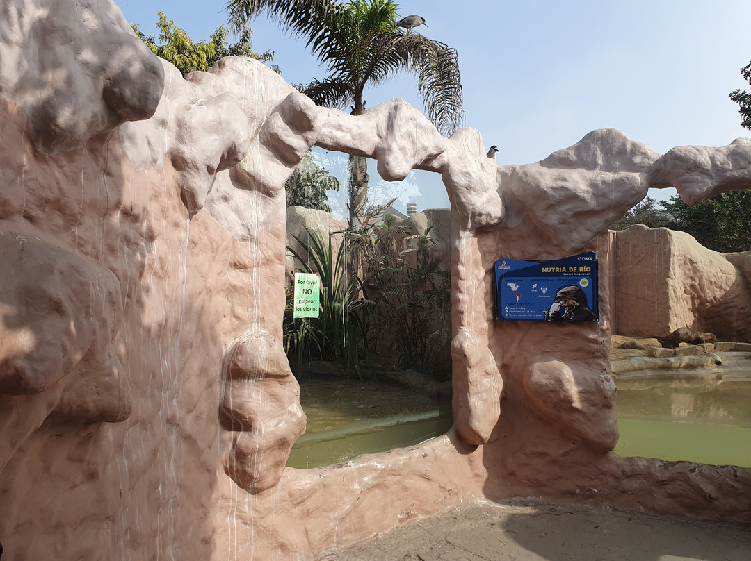 Parque Zoologico Huachipa-利马必去景点