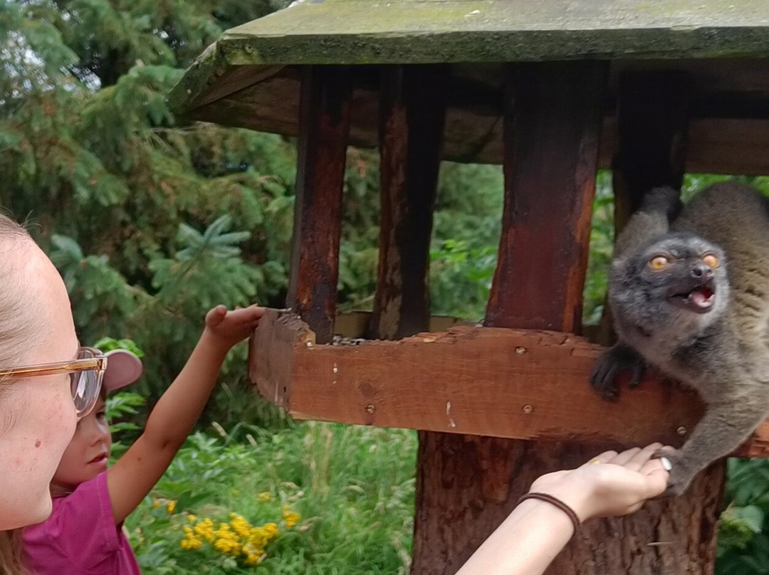 Blåvand Zoo-Blaavand必去景点