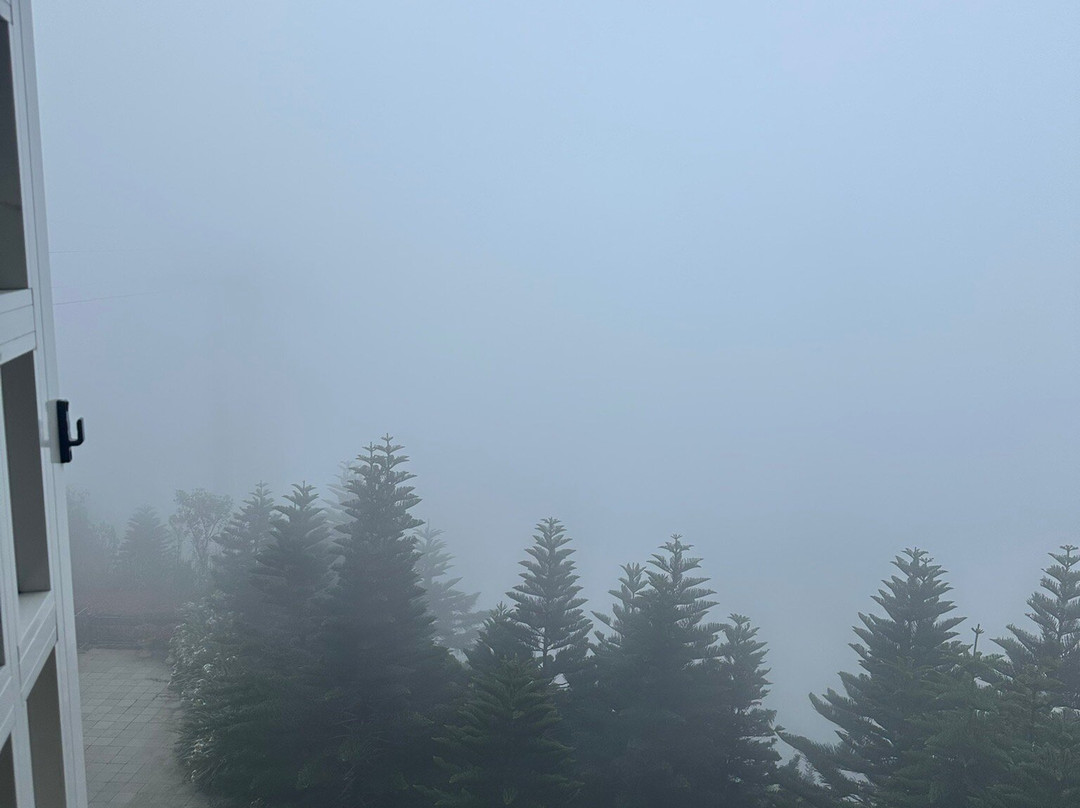 Sun World Ba Na Hills Cable Car-岘港必去景点