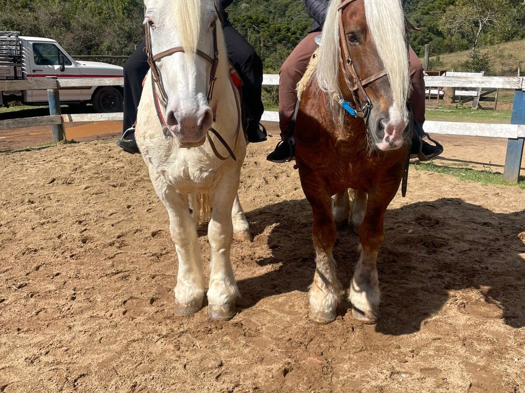 Haras Encanto Horse-蒙特贝尔德必去景点