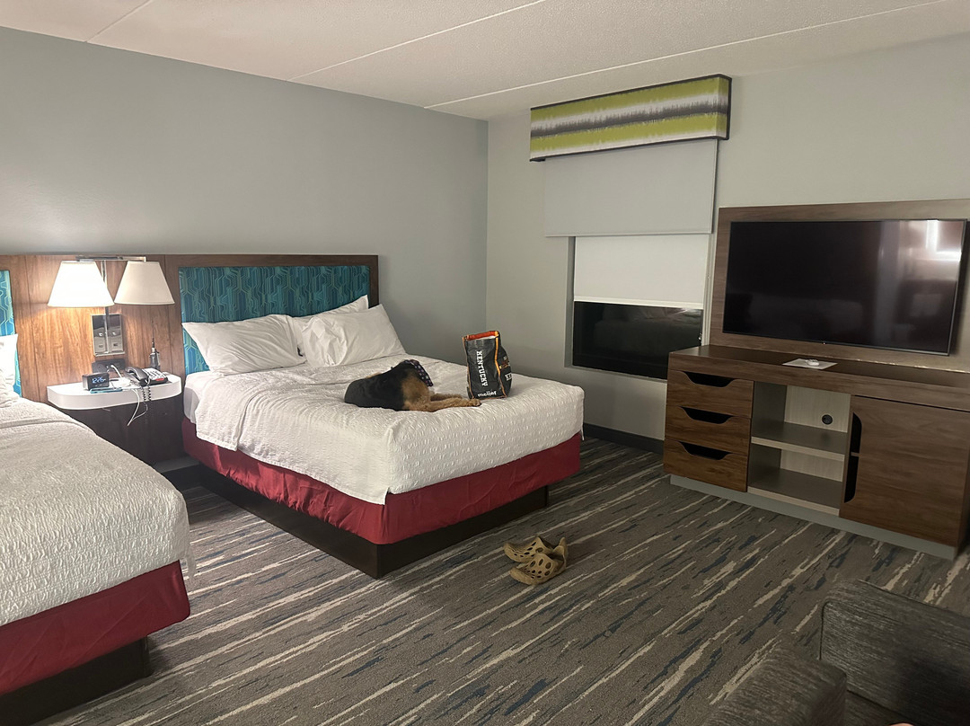 Hampton Inn By Hilton Spring Lake Fayetteville主图