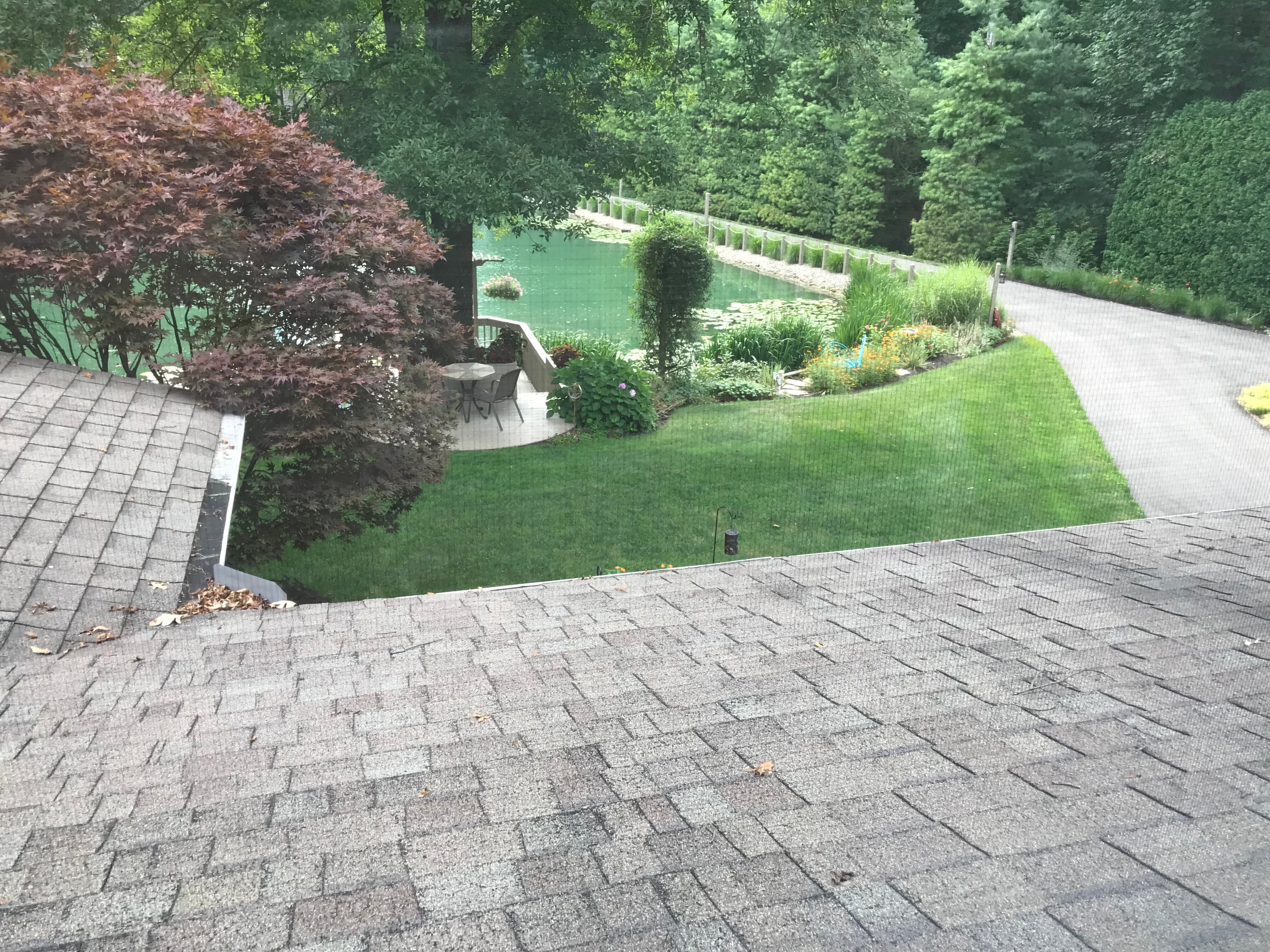 Mary Helen's Bed & Breakfast-酒店景观