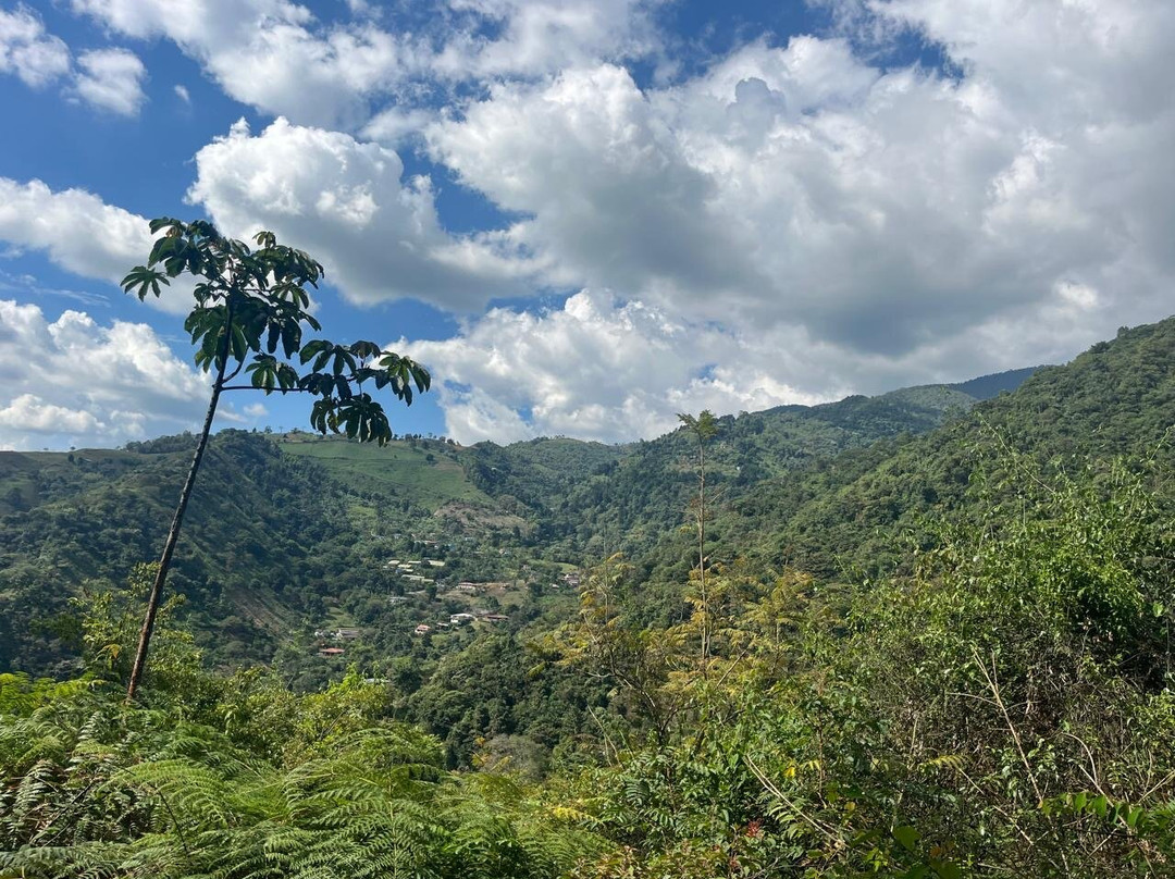 Reserva Natural Nirvana-Palmira必去景点