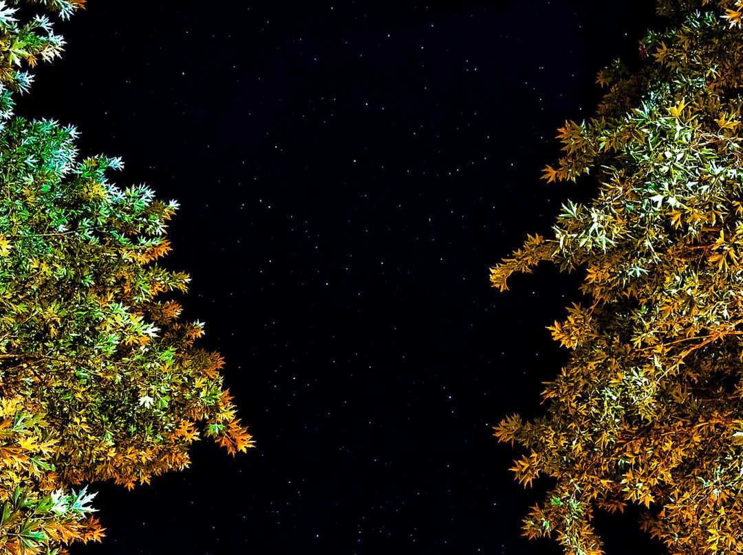 Ninemia Stay& Play主图