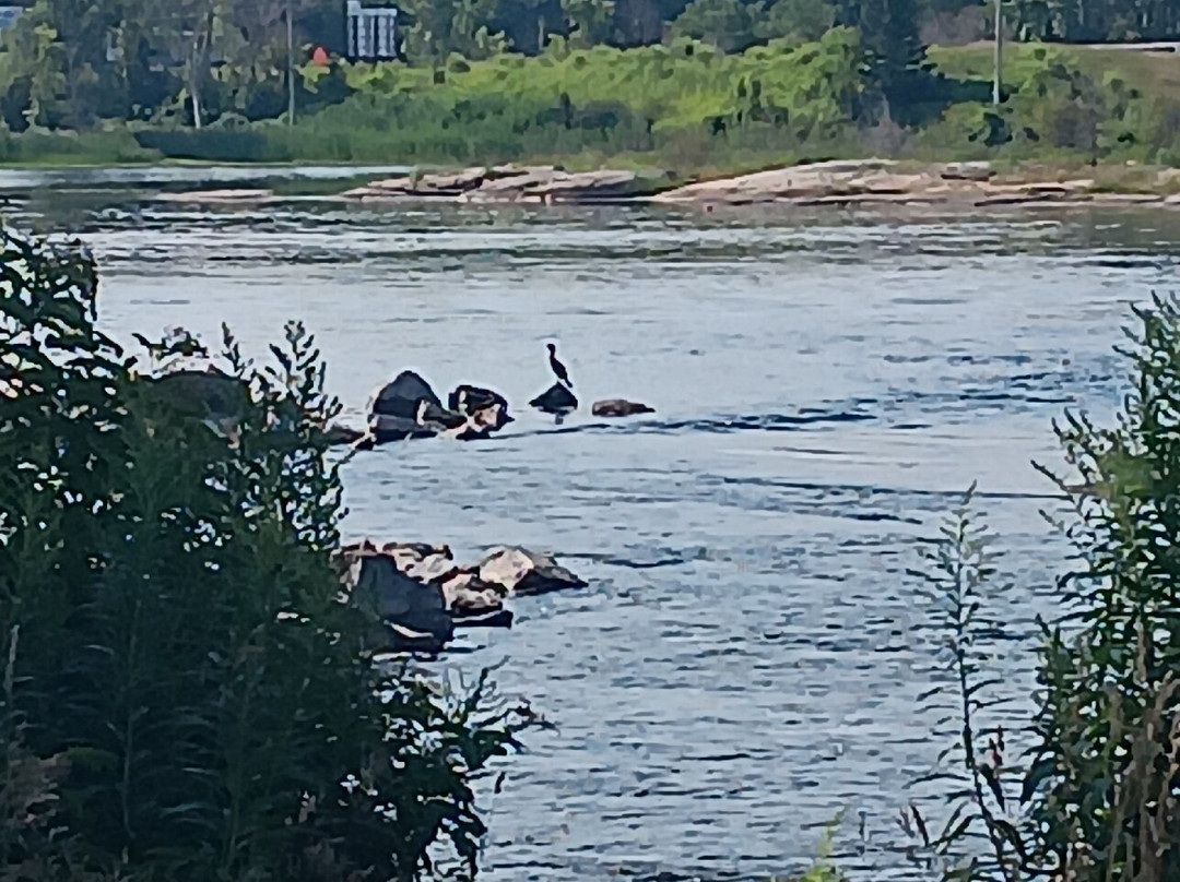 Lock 45-Port Severn必去景点