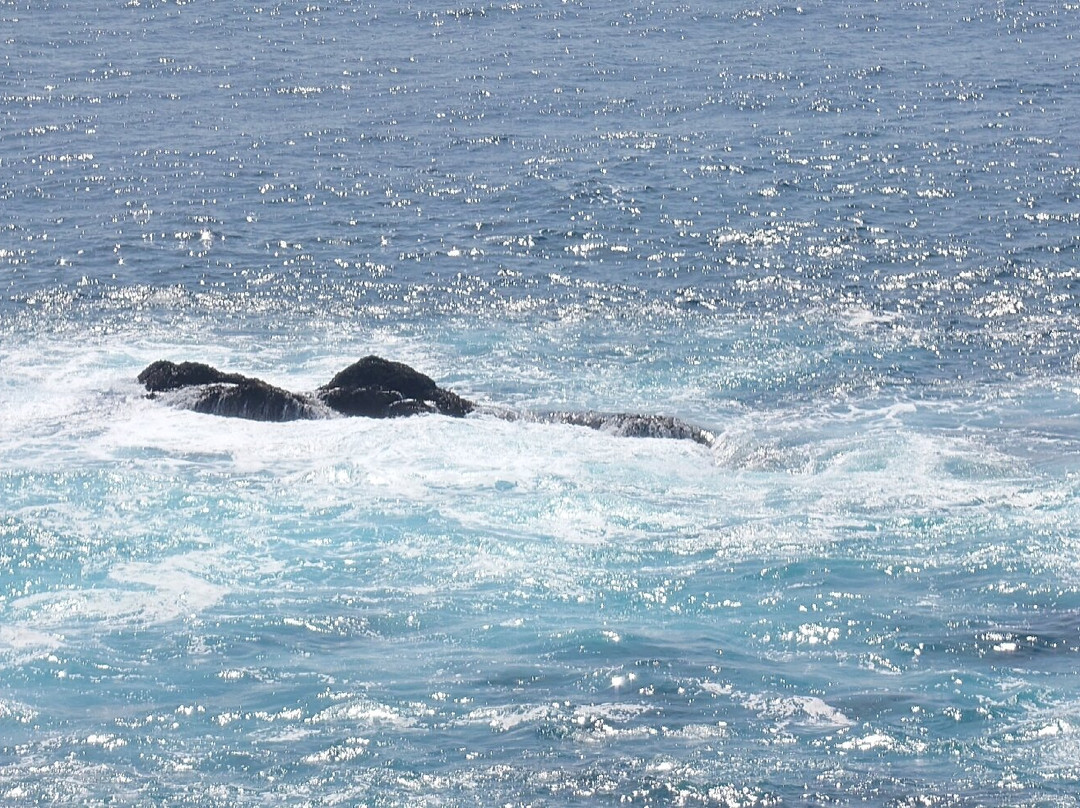 Cape Shionomisaki-串本町必去景点