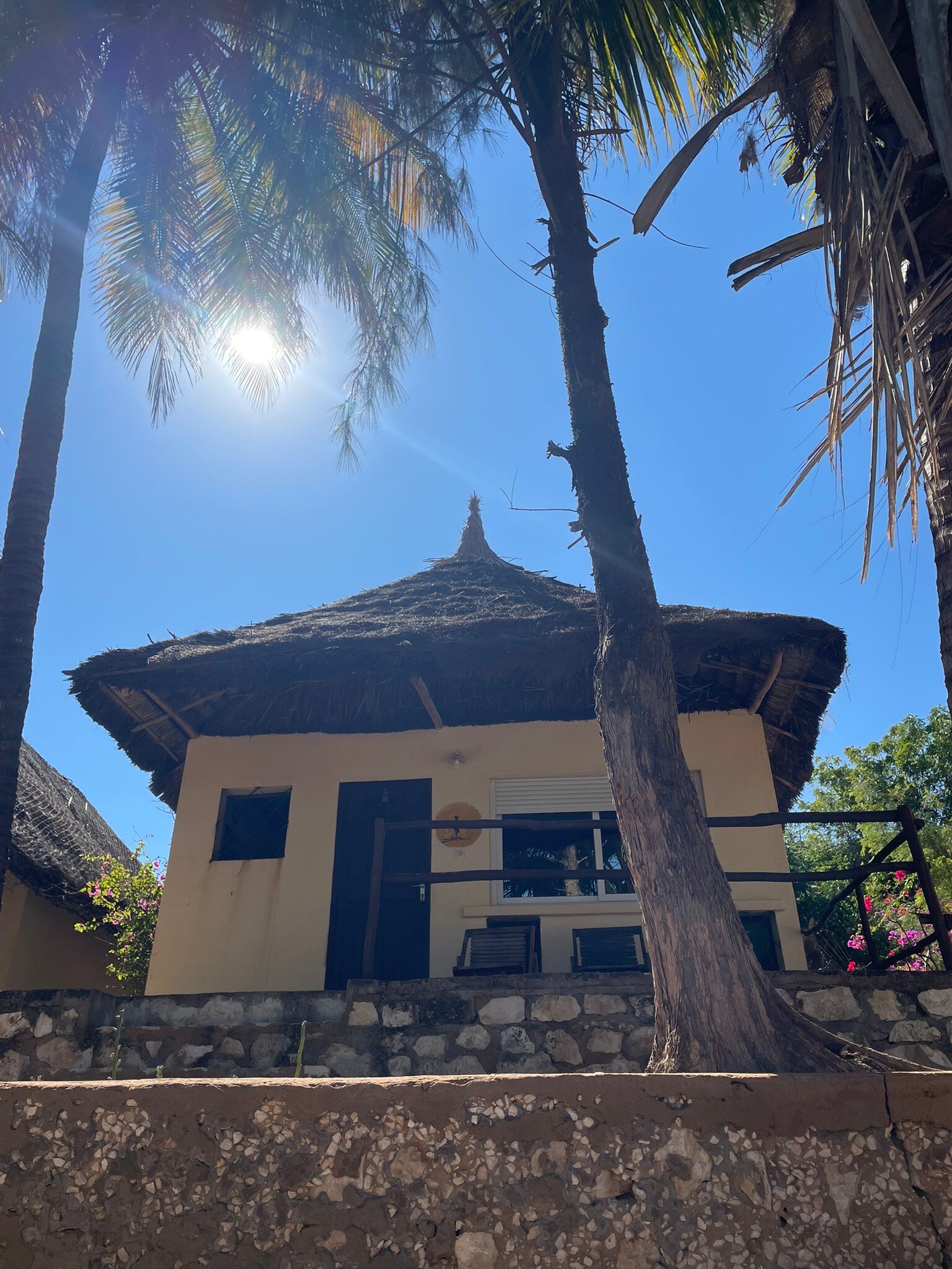 Hotel Bellevue-官方