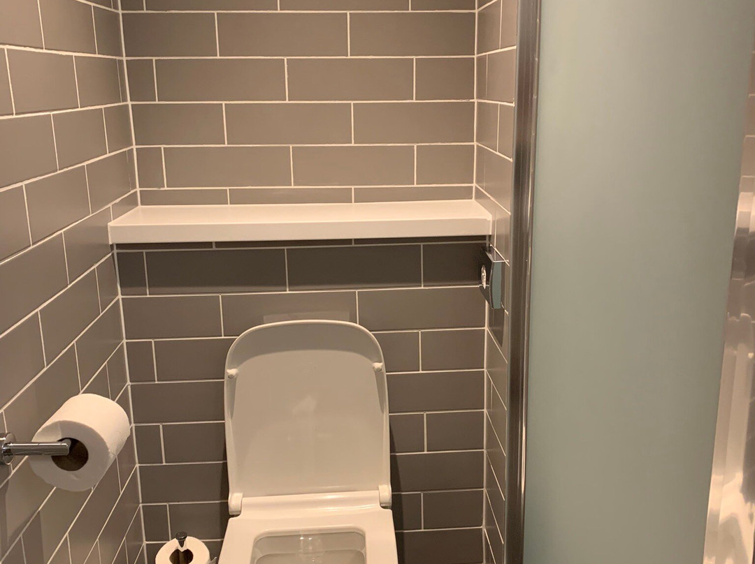 伦敦克罗伊登智选假日酒店主图