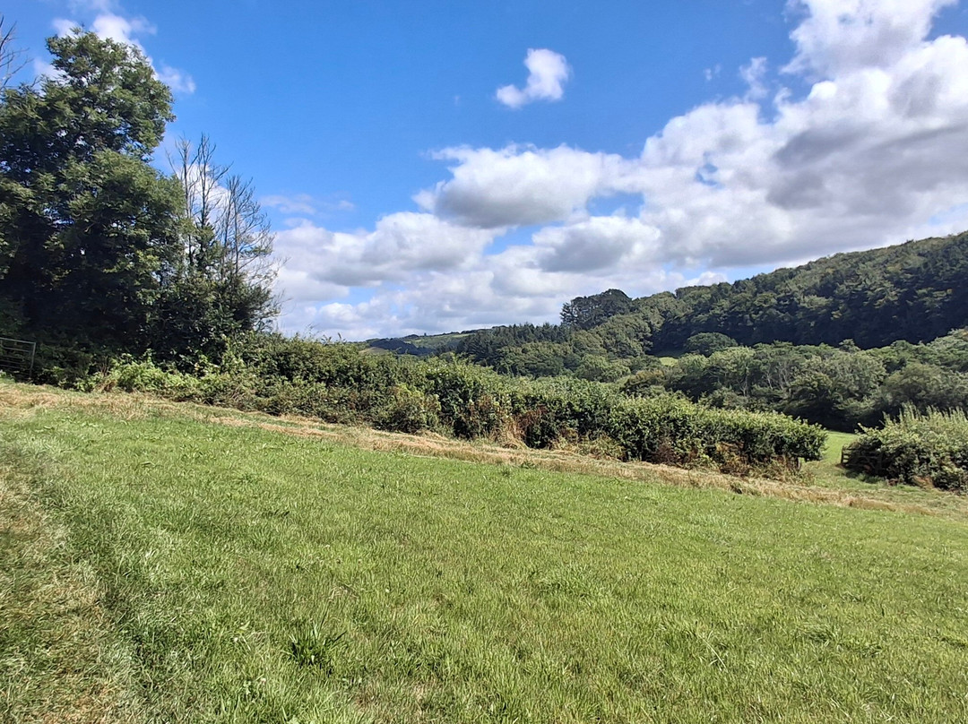 Kilkhampton to Coombe Valley-Kilkhampton必去景点