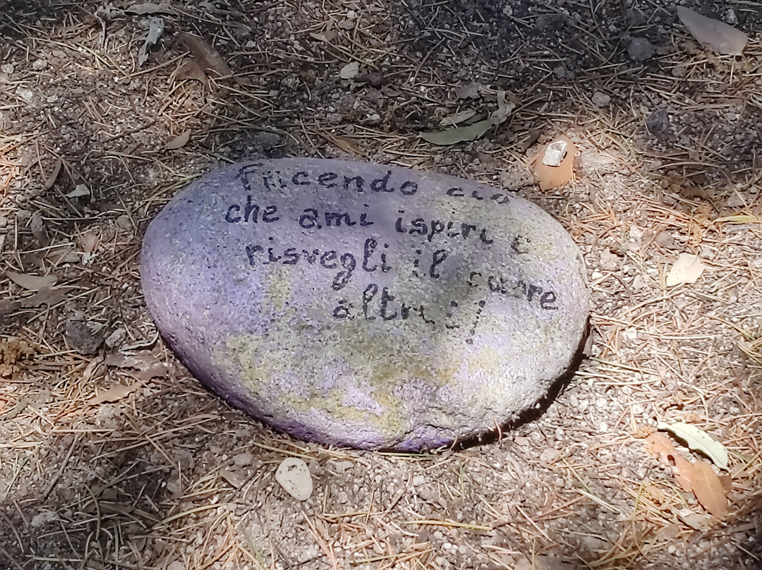 Palazzo Comunale di Tolfa-Tolfa必去景点