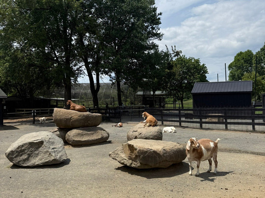 Nova Wild-维也纳必去景点