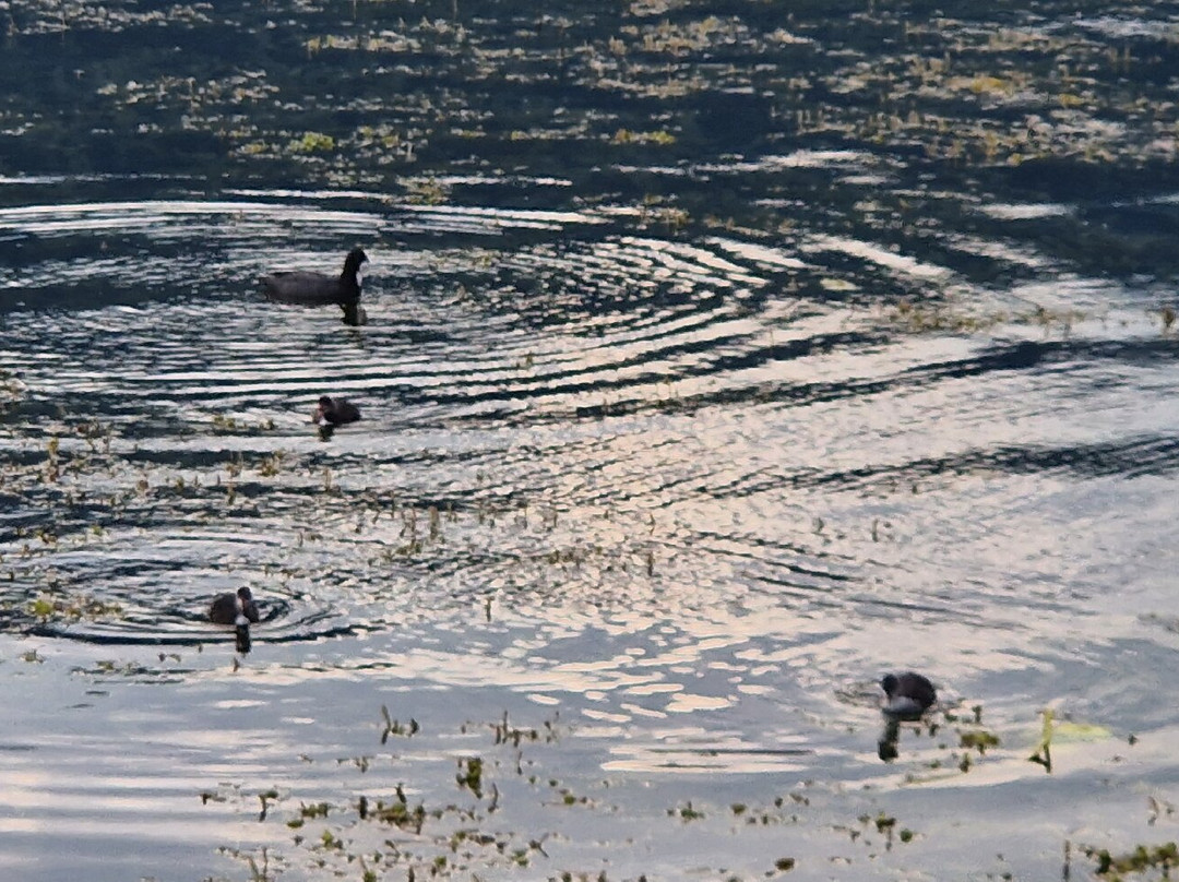 Plav Lake-Plav必去景点