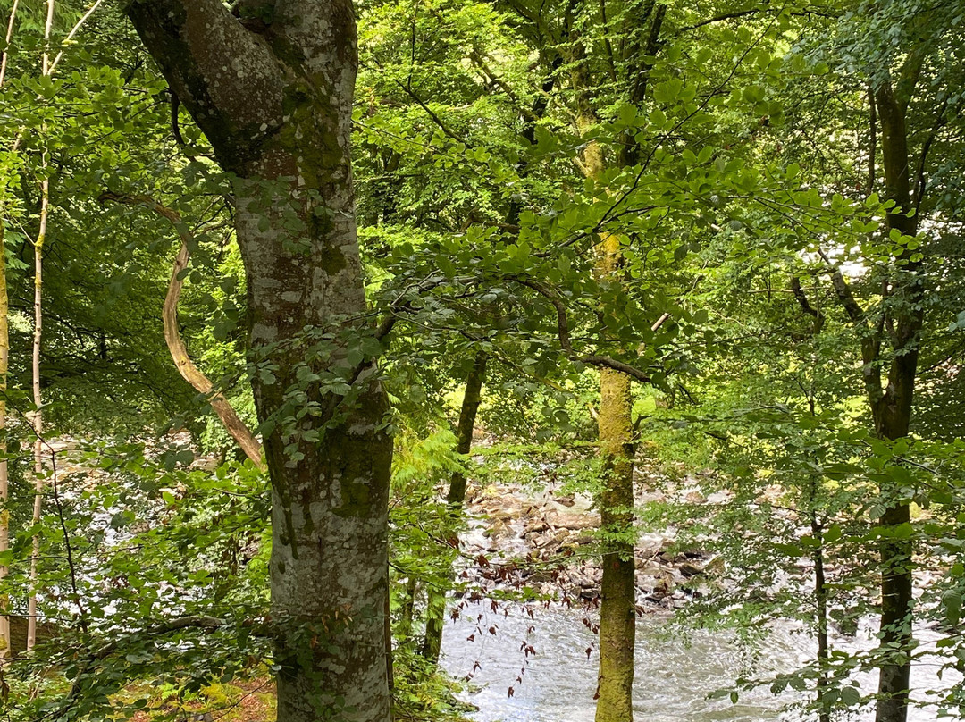 Stone Circle Killin-Killin必去景点