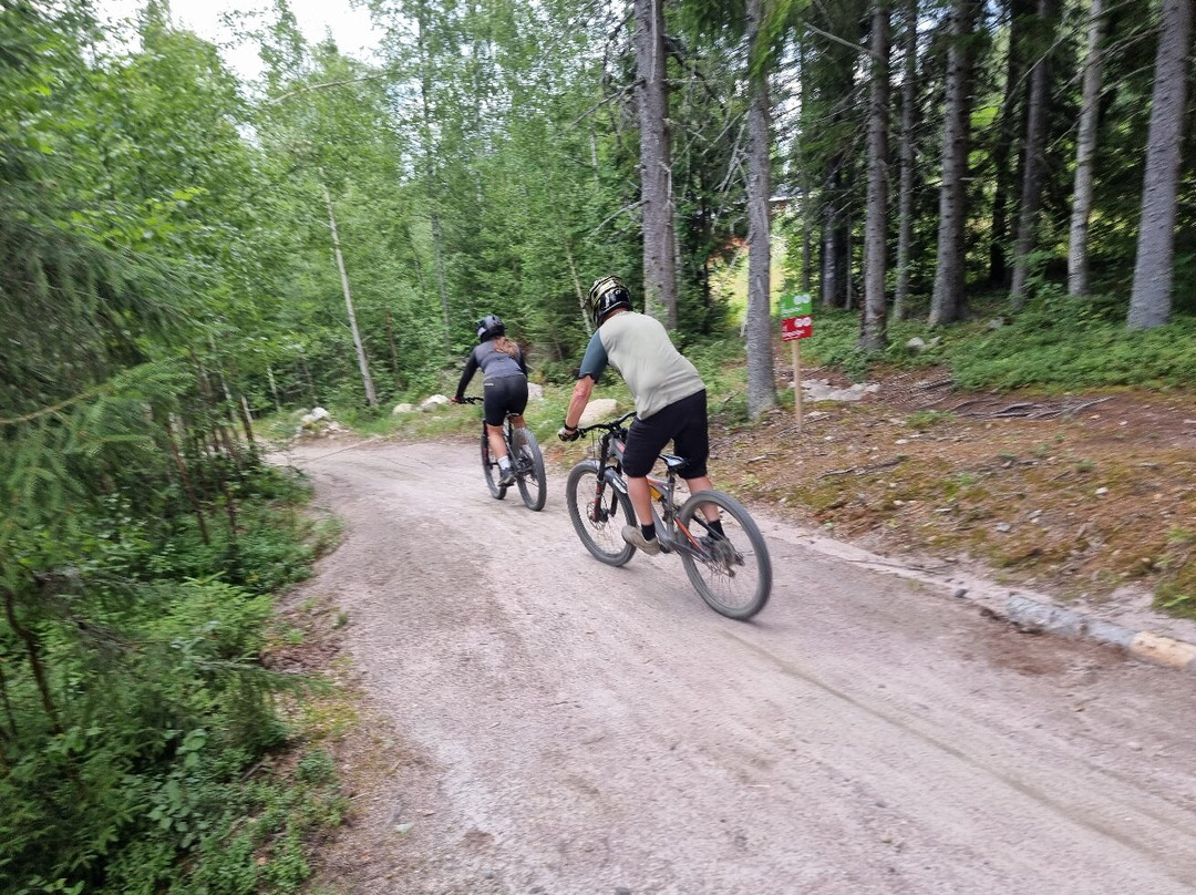 Kungsberget-Jarbo必去景点