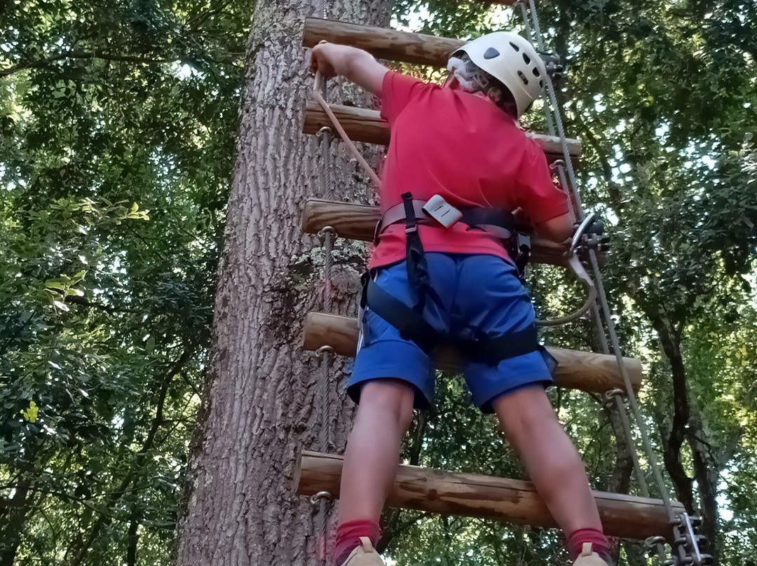 Parco Avventura Il Giardino Sospeso-Riparbella必去景点