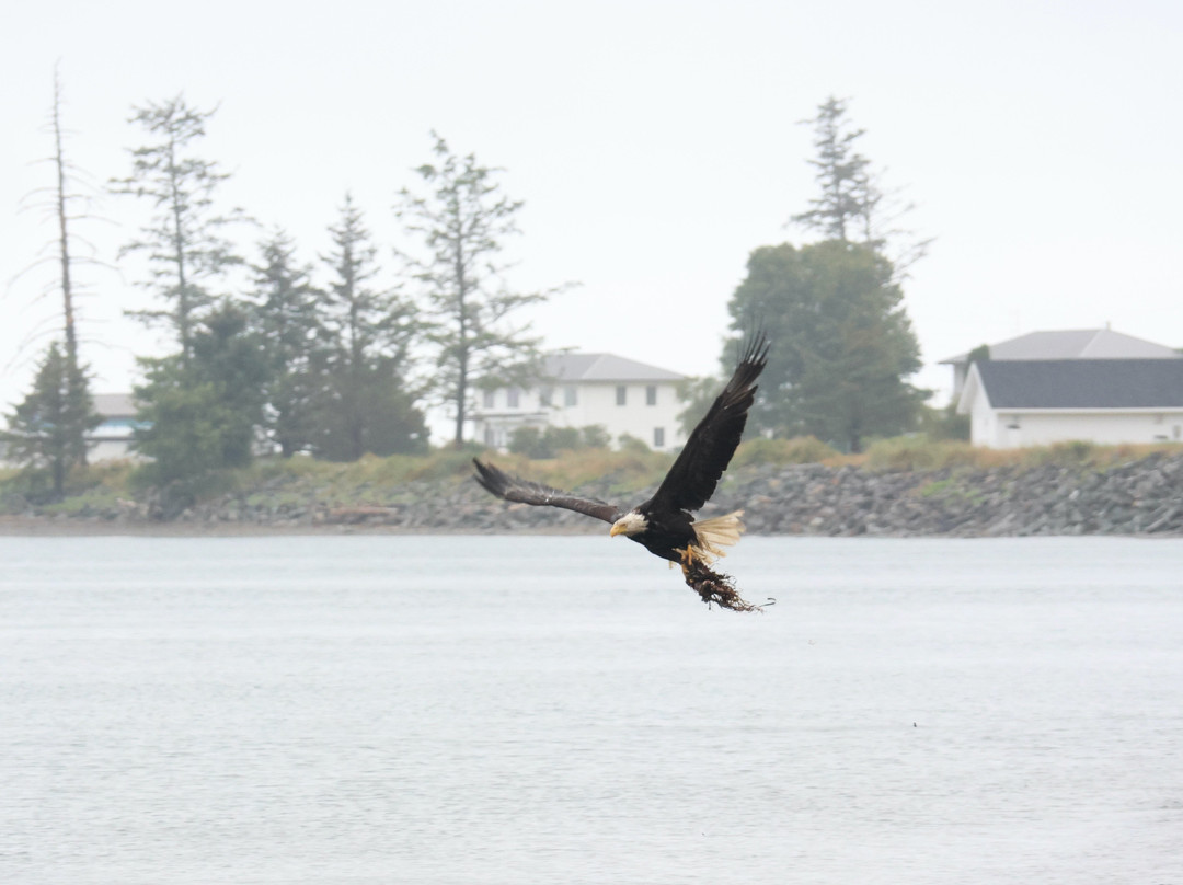 Bayview Garden - Oceanfront Guesthouse主图