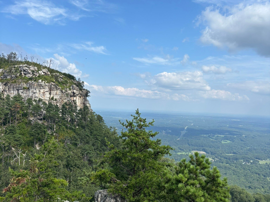 Pilot Knob Inn主图