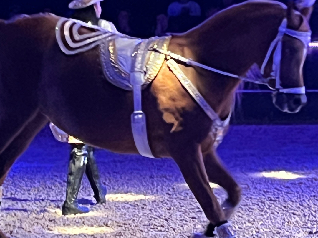 The Dancing Horses Theatre-Delavan必去景点