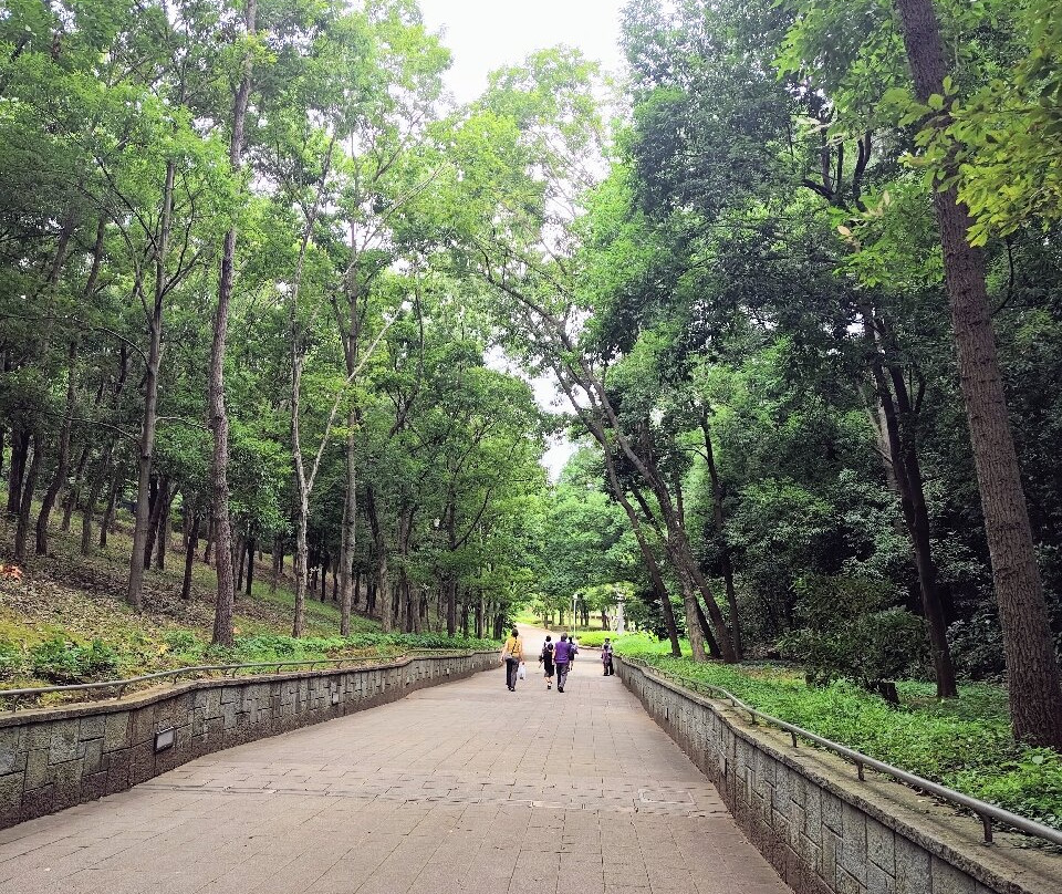 Forest and Park for the 21st Century-松户市必去景点
