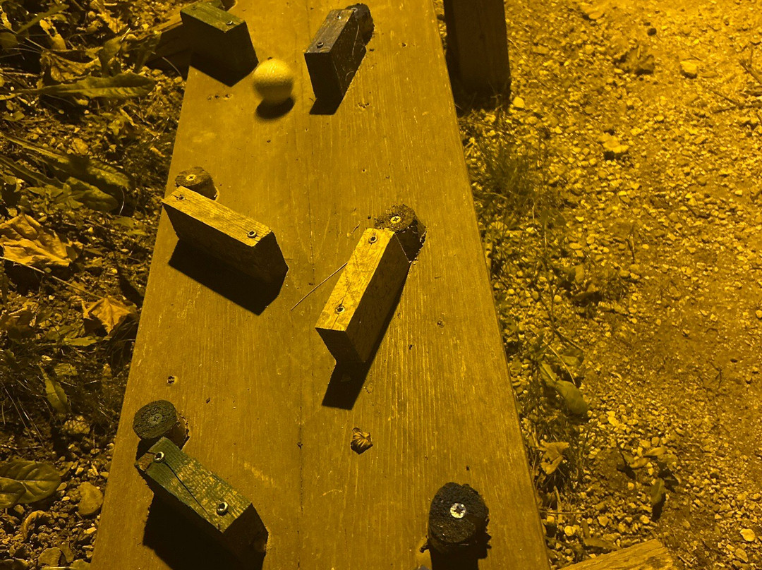 Kugelbahn Von Julius Und Valentina-采尔湖畔必去景点